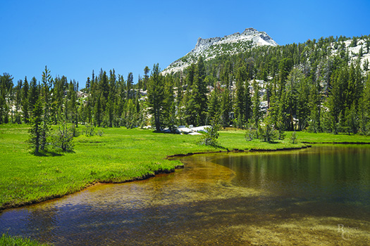 tresidder peak